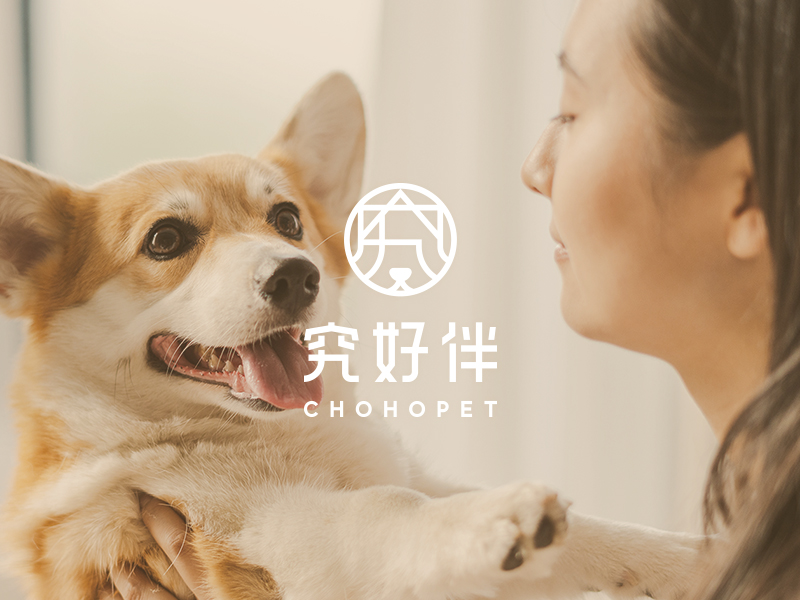 究好伴 chohopet 網頁設計案例