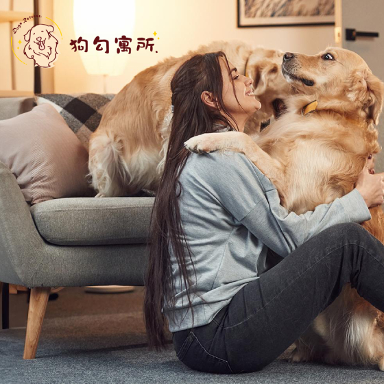 狗勾寓所－標速方案網站設計 網頁設計案例縮圖