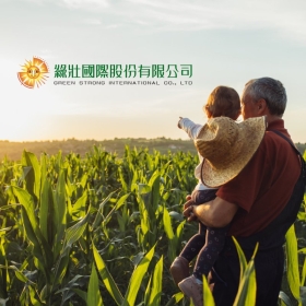 綠壯國際－標速方案網站設計 網頁設計案例縮圖