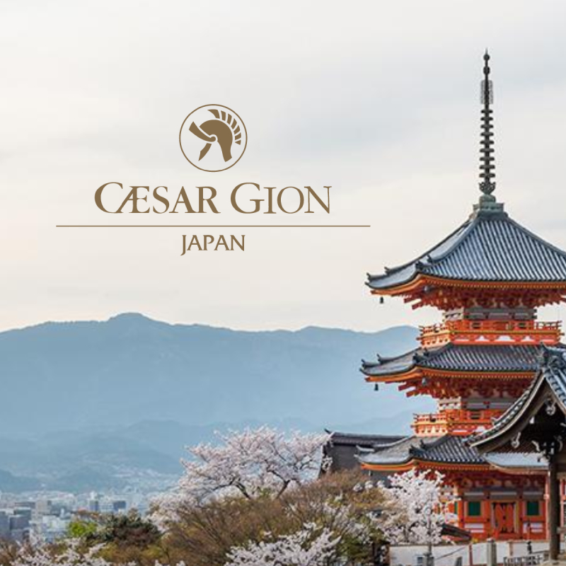 京都Gion Yasaka－標速方案網站設計 網頁設計案例縮圖