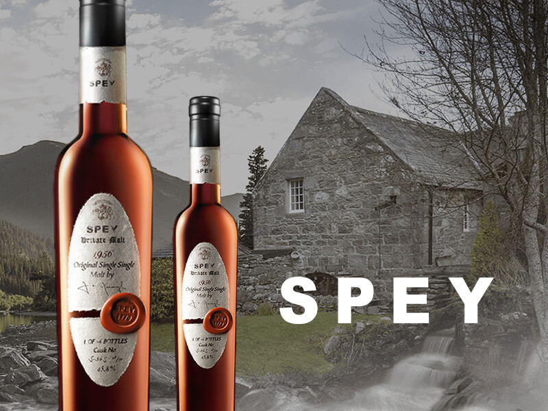 詩貝 SPEY SPEY 網頁設計案例