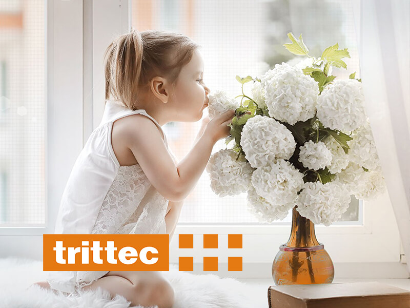 桓大國際有限公司 Trittec 網頁設計案例
