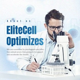 利加生醫－企業形象網站設計 網頁設計案例縮圖