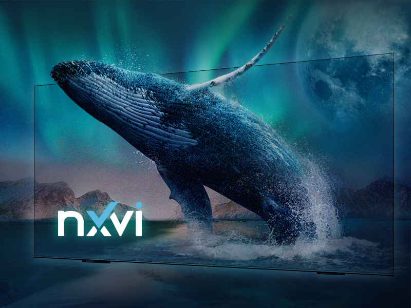 NxVi富視智通 nxvi 網頁設計案例