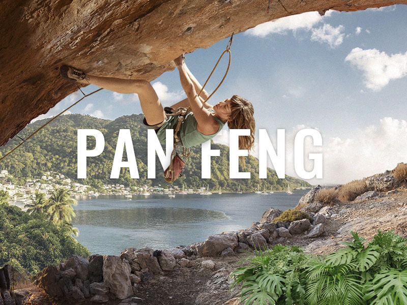 攀峰國際 Panfeng 網頁設計案例