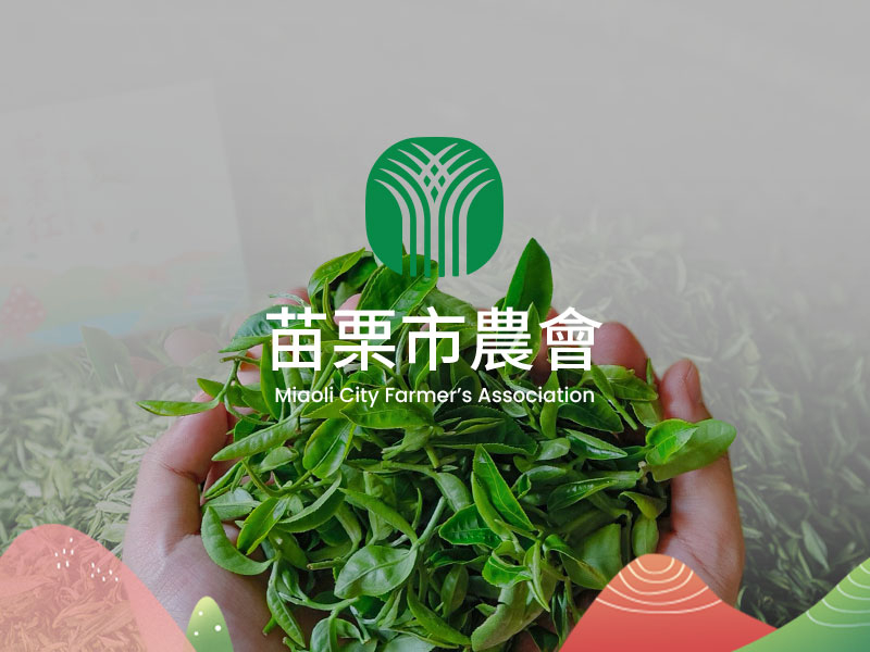 苗栗市農會 miaoli-shop 網頁設計案例