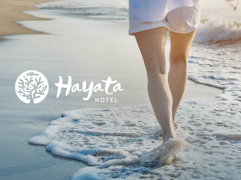 紅柴居 hayata 網頁設計案例