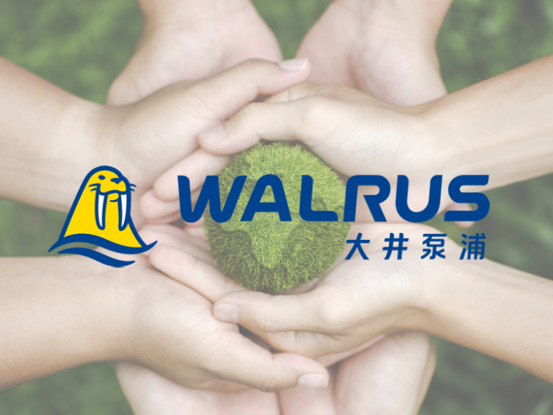 大井泵浦ESG WALRUS 網頁設計案例