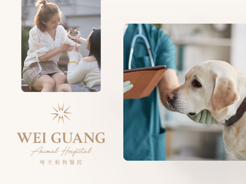 唯光動物醫院 WEI GUANG 網頁設計案例
