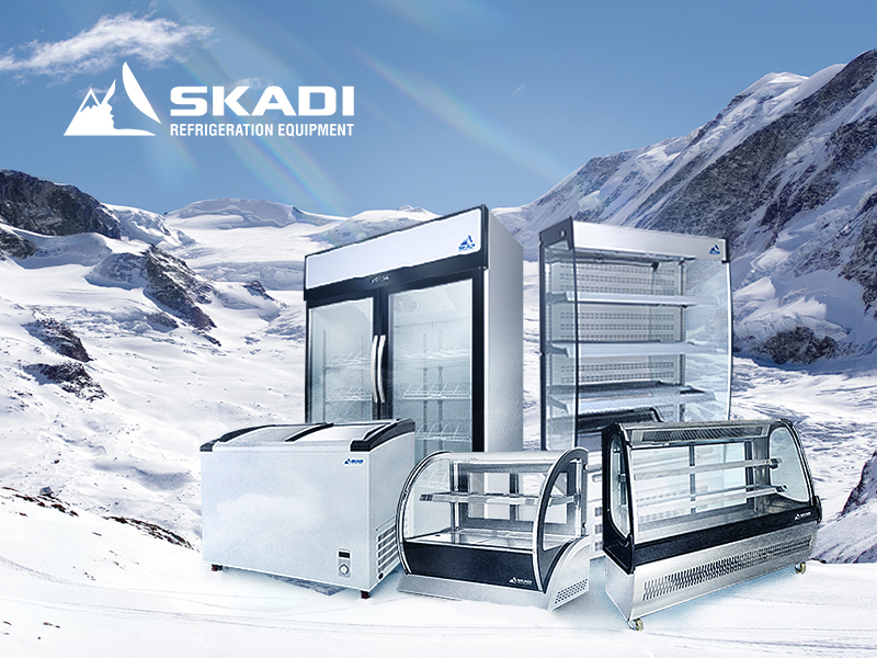 日楷企業 SKADI 網頁設計案例