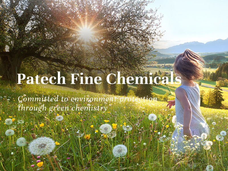 百達化學精密-網頁設計案例