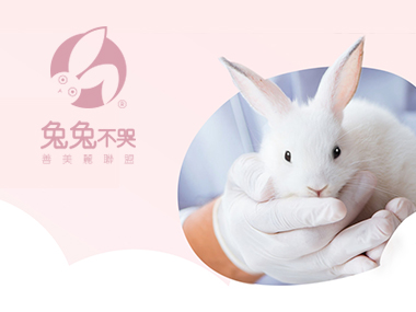 兔兔不哭 善美麗聯盟-網頁設計案例