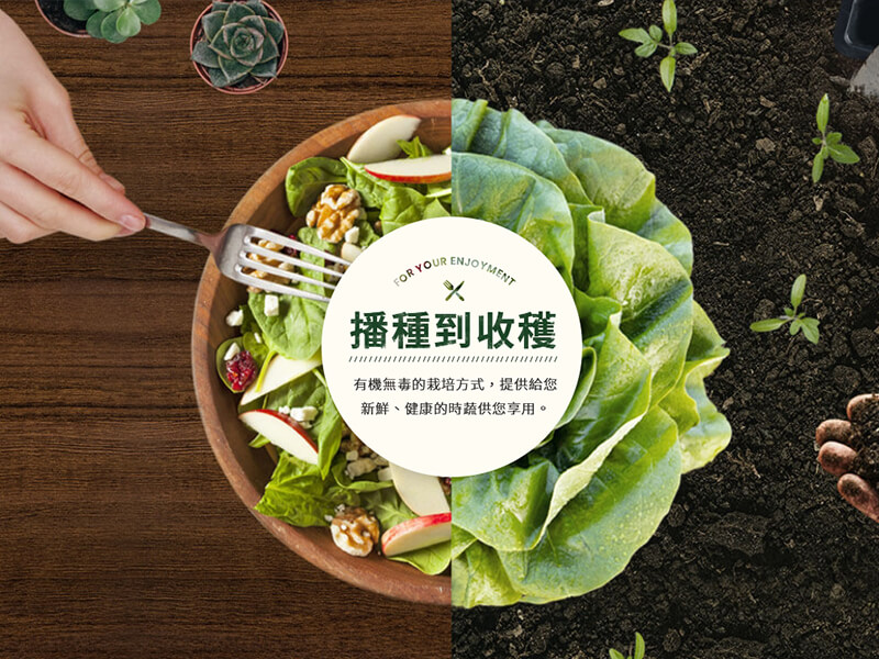 拈花微笑-網頁設計案例